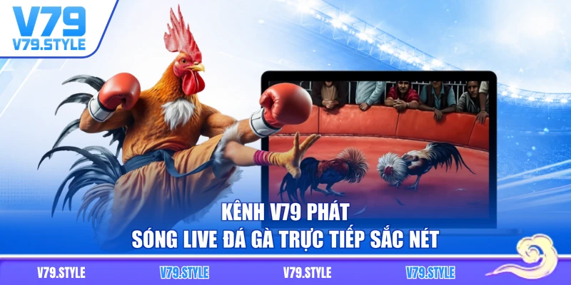 Kênh V79 phát sóng live đá gà trực tiếp sắc nét