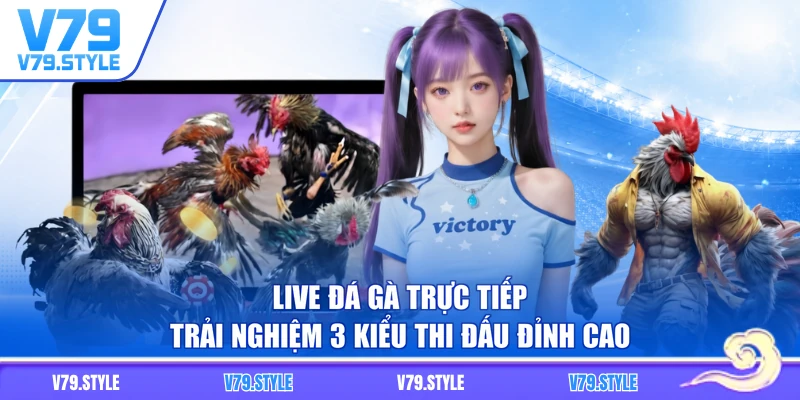 Live Đá Gà Trực Tiếp - Trải Nghiệm 3 Kiểu Thi Đấu Đỉnh Cao