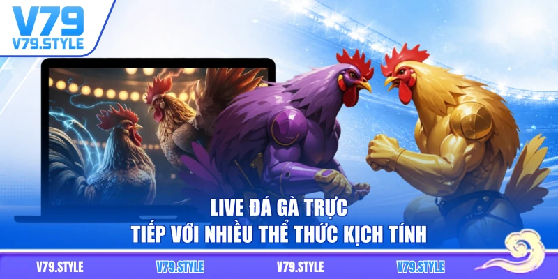Live đá gà trực tiếp với nhiều thể thức kịch tính